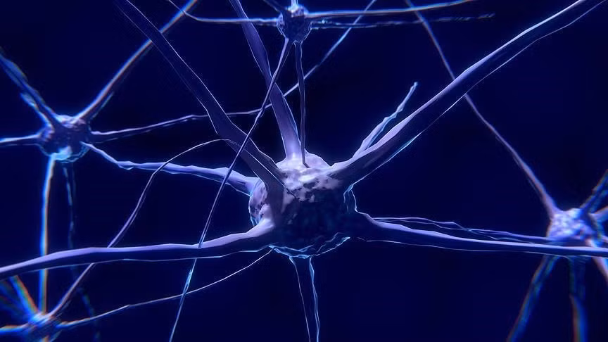 Một nhóm nhà khoa học tại Thụy Sĩ đứng đầu bởi Tiến sĩ Fred Jordan, nhà đồng sáng lập phòng thí nghiệm FinalSpark nằm ở thị trấn Vevey thuộc bang Vaud, đang nỗ lực phát triển máy tính sinh học nhờ nuôi những bộ não mini từ tế bào gốc. Ảnh: Aa.com.tr.