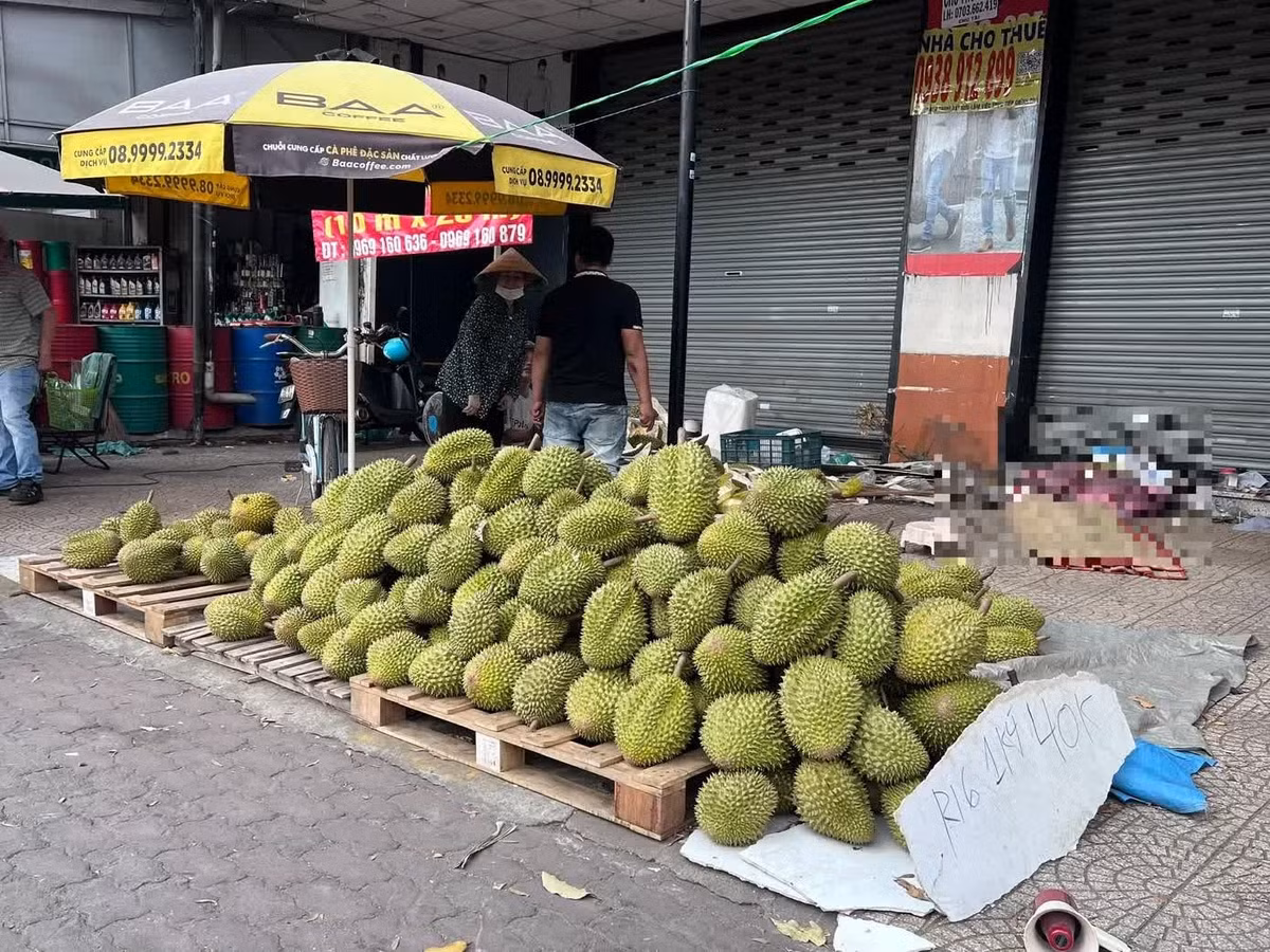Sầu riêng giá siêu rẻ chỉ 40.000 đồng/kg đổ đống bán đầy đường TPHCM