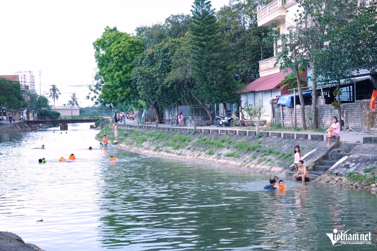 nangg-1.jpg