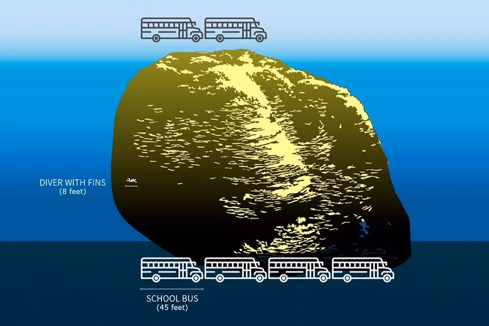 sannn-2.jpg