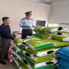 Phát hiện và xử lý hàng loạt vụ buôn bán phân bón giả, kém chất lượng
