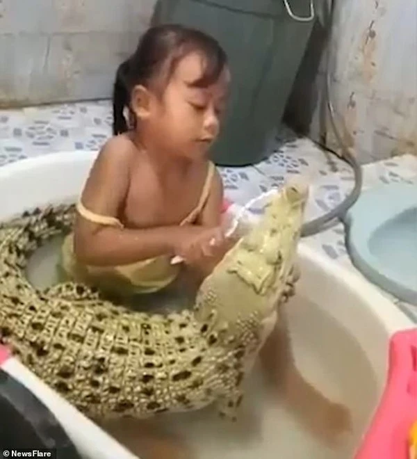 Video: Thản nhiên ngồi đánh răng cho cá sấu, cô bé khiến dân tình 'sợ khiếp vía'