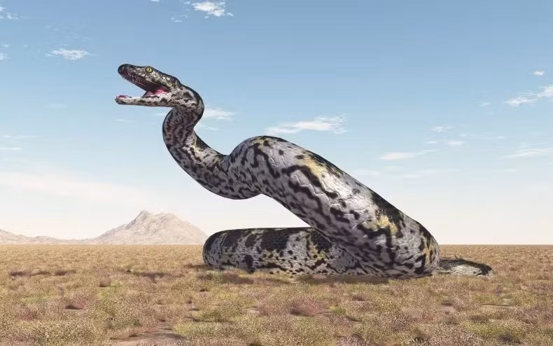 1. Titanoboa cerrejonensis: Loài rắn khổng lồ này có niên đại 60 triệu năm trước, Titanoboa cerrejonensis từng sống trong những khu rừng và sông ẩm ướt ở Nam Mỹ, chúng ăn cá sấu và cá sông. Chúng có 250 đốt sống của nó tạo thành một khung khổng lồ dài 13m, có thể nặng tới 1.130kg.