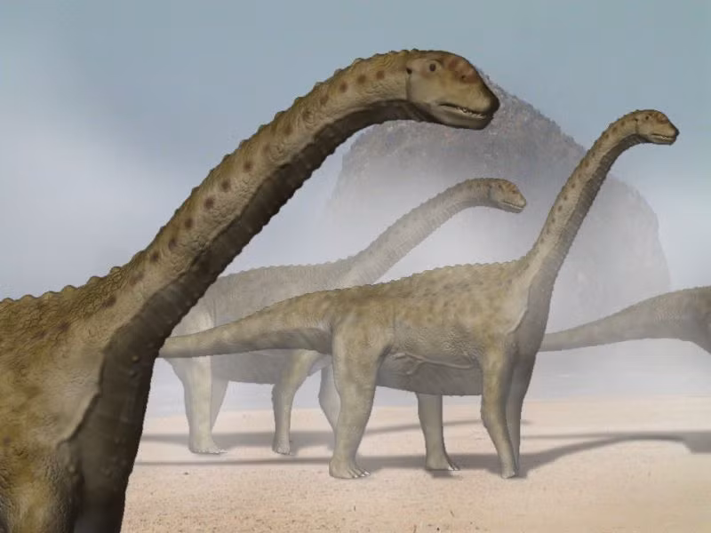  2. Cái cổ dài huyền thoại. Cổ của các loài Sauropoda có thể dài từ 6 đến 12 mét, giúp chúng tiếp cận nguồn thức ăn ở trên cao mà các loài khủng long khác không thể chạm tới. Ảnh: Pinterest.