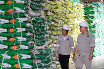 PVFCCo - Phú Mỹ: Tiên phong đổi mới sáng tạo