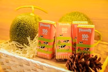 VINAMILK báo doanh thu quý 1 năm 2026 tăng 24,6% so với cùng kỳ 