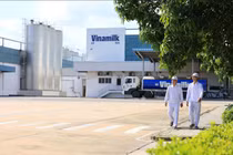 5 triệu ống hút nhựa biến mất, Vinamilk mở rộng đơn hàng xuất khẩu