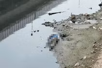 Phát hiện thi thể người đàn ông trên sông Tô Lịch