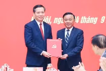 Ông Nguyễn Long Hải làm Phó Bí thư Đảng ủy Các cơ quan Đảng Trung ương
