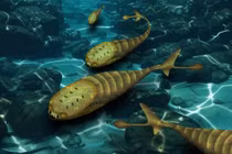 Vì sao loài cá đột ngột xuất hiện trên Trái đất 420 triệu năm trước