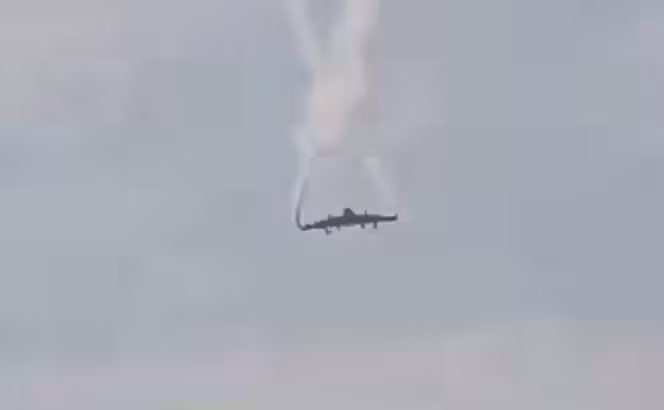 maybayroi.png