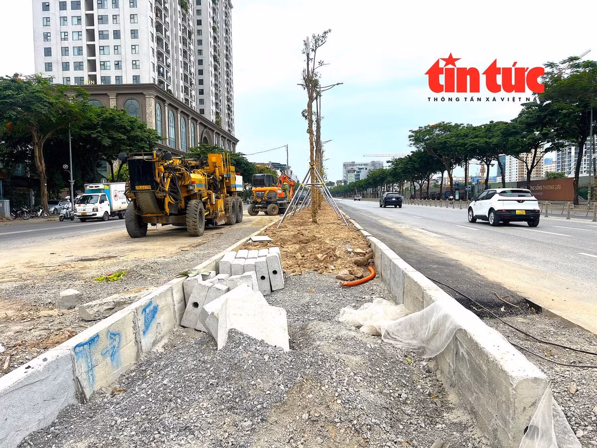Sau khi thi công tuyến cống hộp, lớp đất tại dải phân cách giữa đường Võ Chí Công chỉ dày khoảng 80cm, không phù hợp trồng cây lớn (đại mộc).