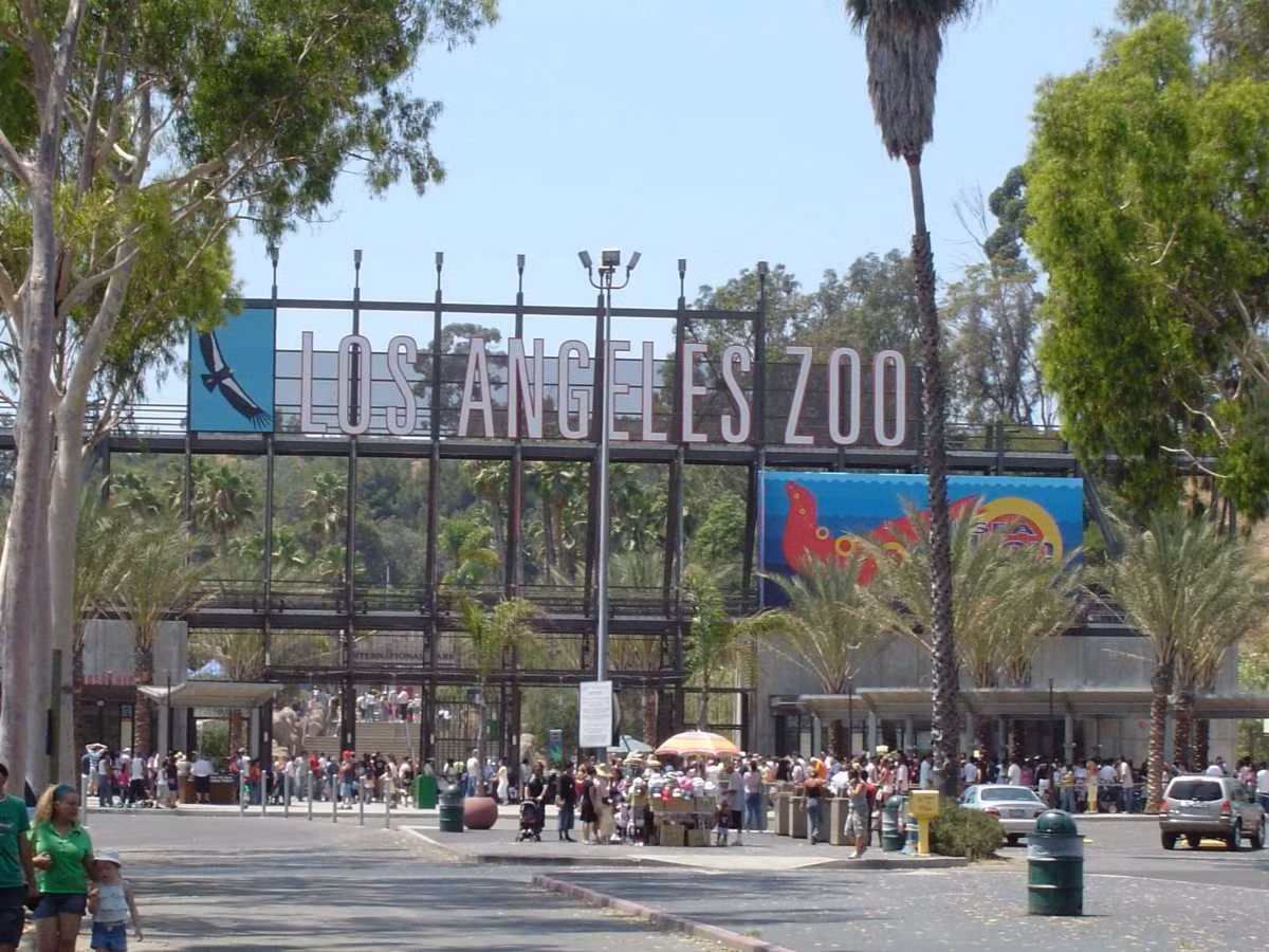 Vườn thú Los Angeles không chỉ là nơi sinh sống của nhiều loài động vật mà còn là nơi có một vườn bách thảo rộng lớn với bộ sưu tập phong phú các loài thực vật bản địa và quý hiếm. Ảnh: HC.