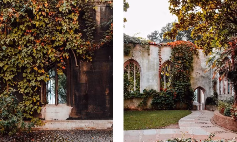 Vào mùa thu, không gian xanh mướt ở khu vực nhà thờ St Dunstan-in-the-East chuyển sang sắc vàng, mang vẻ đẹp ấn tượng.