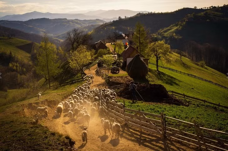 Buổi chiều tối mùa xuân của một ngôi làng ở Romania.