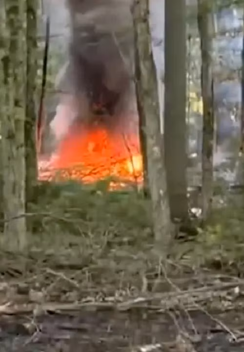 bay2.png