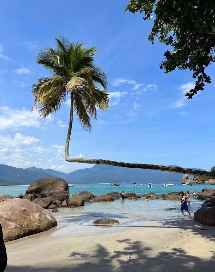 "Một bức ảnh tôi chụp trong kỳ nghỉ ở Brazil", người đăng bức ảnh này viết.