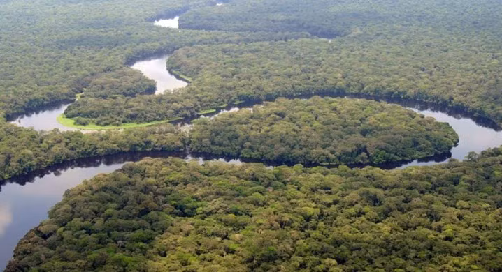 Lưu vực Congo ở Châu Phi với khu rừng nhiệt đới rộng lớn và dòng sông uốn lượn tạo nên khung cảnh thiên nhiên ấn tượng. Đây là nơi trú ngụ của nhiều loài động vật.