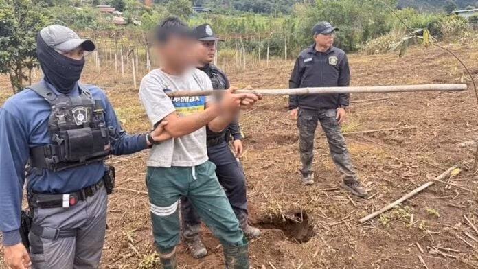 thai.png
