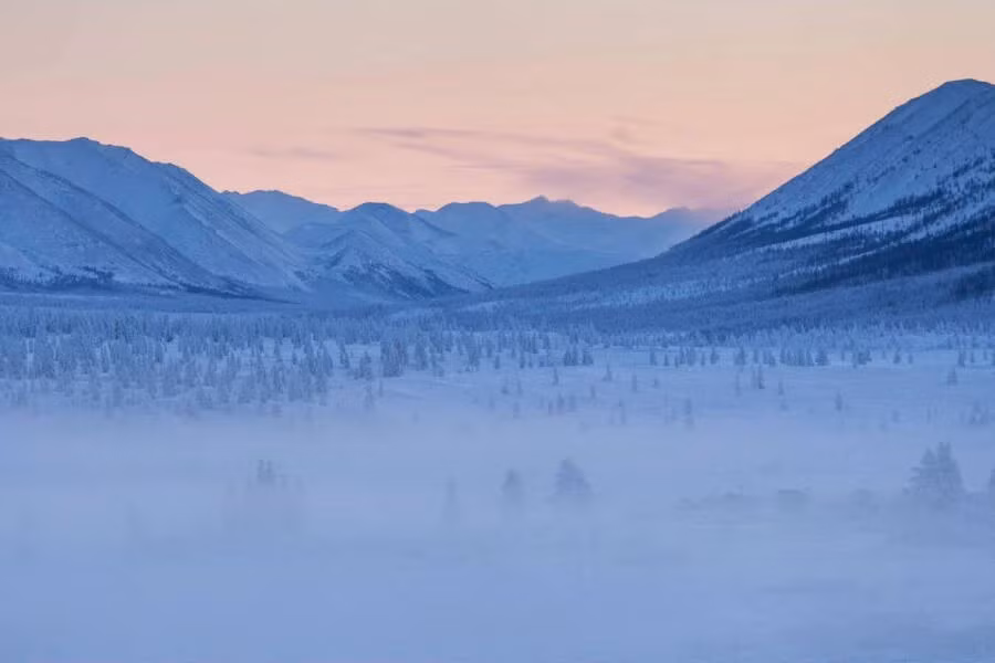 Những khu rừng băng giá ở Oymyakon. Ảnh: Wikimedia Commons.