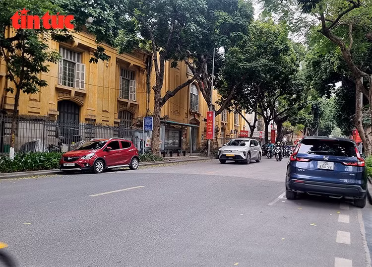 Nhiều ô tô xếp hàng dài tại khu vực điểm dừng xe buýt trên phố Lê Thánh Tông, chiếm dụng phần đường dành cho xe buýt đón trả khách.