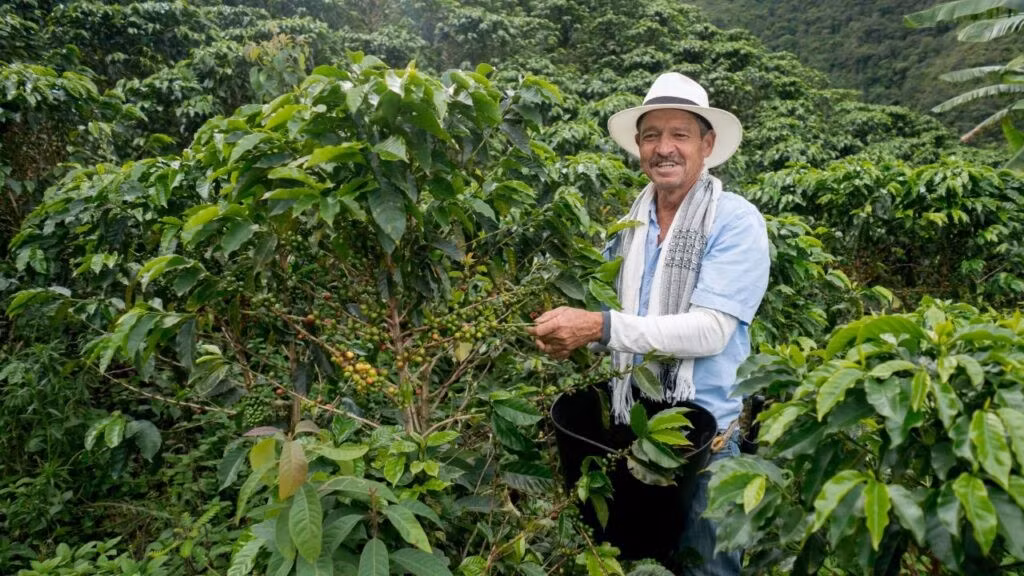 Colombia là một trong những quốc gia sản xuất cà phê hàng đầu thế giới và cà phê Colombia được yêu thích trên toàn thế giới.