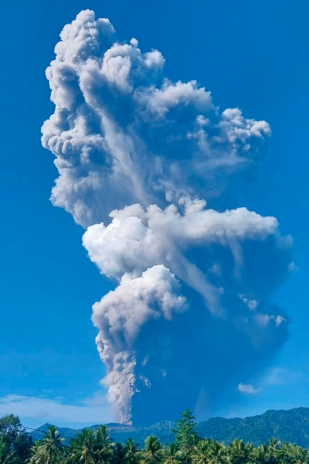 ap26128291025674.jpg