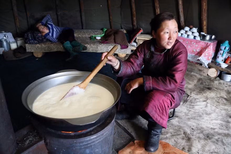 Một phụ nữ Tsaatan đun sôi sữa để làm pho mát.
