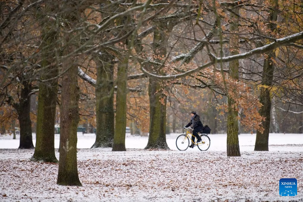 Tuyết phủ trắng mặt đất trong Công viên Tiergarten ở Berlin ngày 24/11. Ảnh: Xinhua News.