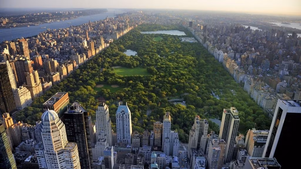 Công viên Trung tâm ở Manhattan là một ốc đảo xanh mướt được bao quanh bởi những tòa nhà chọc trời. Ảnh: learnbright.