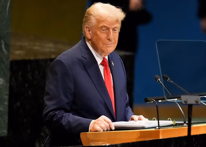 trump4.png