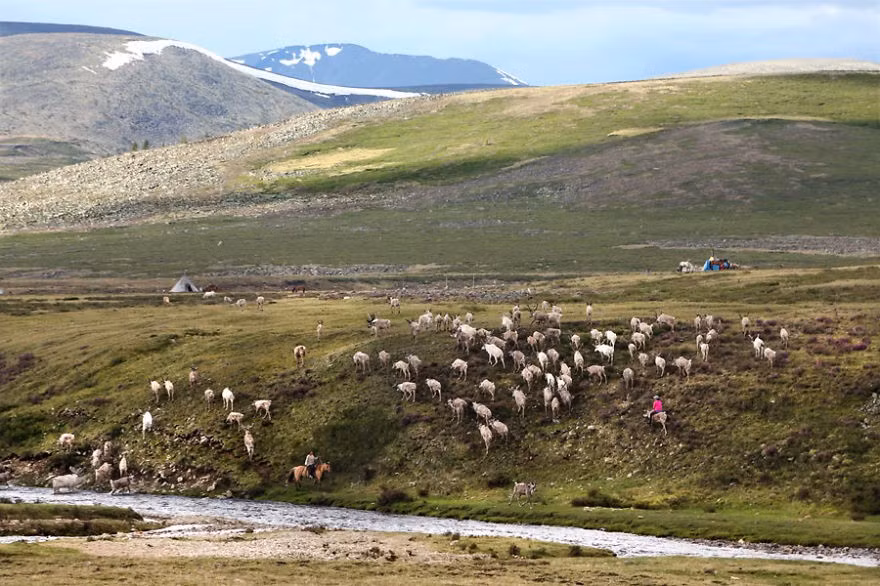 Một buổi chiều yên bình ở Ulaan Taiga.