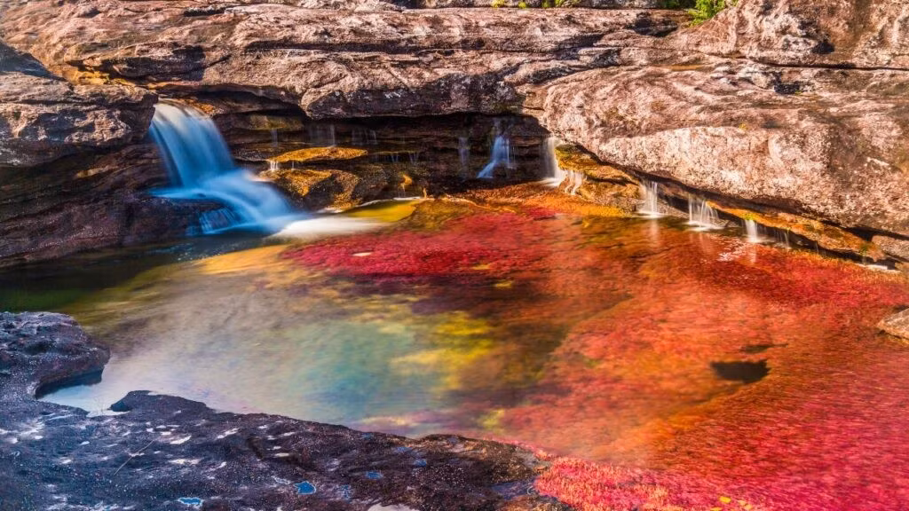 Caño Cristales, còn được gọi là Sông Ngũ Sắc, là một kỳ quan thiên nhiên ở Colombia. Dòng sông này đổi màu từ đỏ sang vàng, rồi xanh lá cây,...tạo nên cảnh sắc vô cùng ấn tượng.