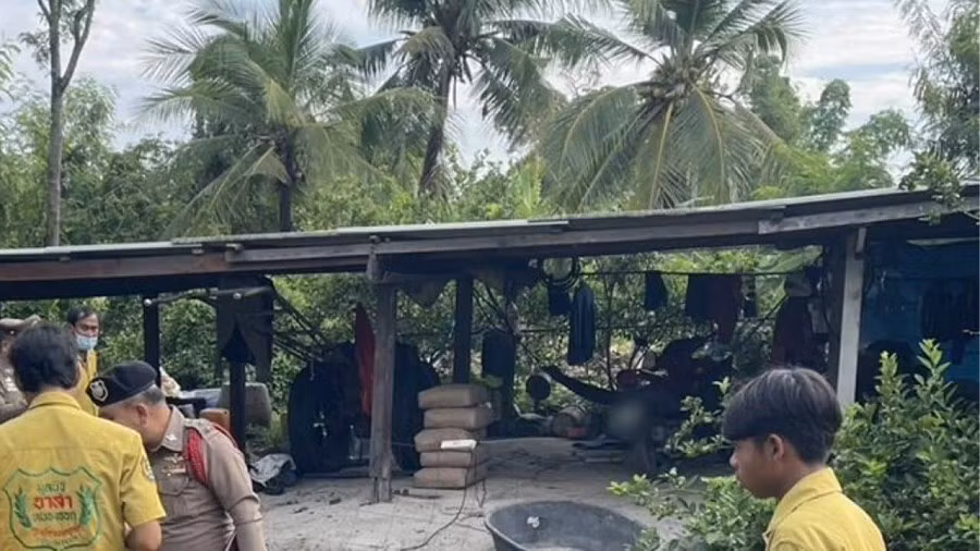 thailan1.png