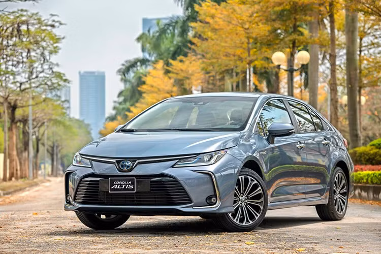 Toyota Corolla Altis ﻿Sở hữu doanh số chỉ cao hơn Isuzu mu-X một chút là Toyota Corolla Altis. Mẫu xe này bán ra 24 chiếc, giảm 11,1%. Nếu muốn tăng trưởng doanh số, Toyota Corolla Altis tại Việt Nam có lẽ cần đến phiên bản mới với thiết kế và trang bị nâng cấp. Ngoài ra, giá bán kém hấp dẫn, dao động từ 725 - 870 triệu cũng ảnh hưởng đến doanh số của mẫu xe này.