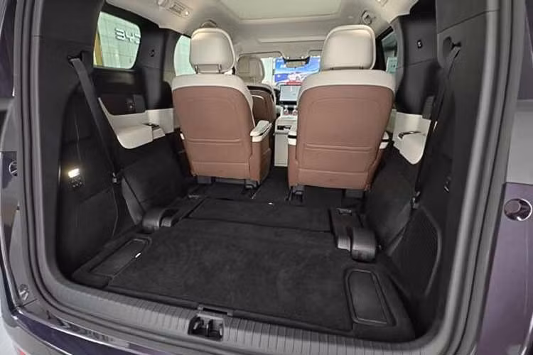 Linghui M9 thuộc một hệ sinh thái chuyên biệt dành cho khách hàng doanh nghiệp, được xây dựng nhằm tách biệt mảng xe dịch vụ với các dòng xe cao cấp dành cho người dùng cá nhân. BYD thành lập thương hiệu chuyên biệt Linghui nhằm giảm thiểu tác động tiêu cực đến doanh số bán hàng của các dòng xe bán lẻ thông thường do mối liên hệ với dịch vụ gọi xe.