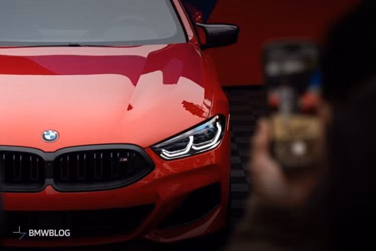 Một trong những yếu tố chủ chốt của phiên bản đặc biệt này chính là màu sơn. BMW đã mang trở lại 5 sắc màu kinh điển từ danh mục E31 gốc: đỏ tươi, xanh lam ánh kim Mauritius, đen Cosmos ánh kim, xanh lá cây ánh kim Oxford và tím Daytona ánh kim. Những màu sắc di sản này được bao gồm trong giá, cùng với một số tính năng thường là tùy chọn.