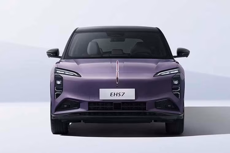 Hongqi là thương hiệu xe du lịch lâu đời nhất Trung Quốc. Tuy nhiên, hãng đang hướng tới việc cải thiện vị thế trên thị trường xe thuần điện bằng cách đẩy mạnh phát triển công nghệ.
