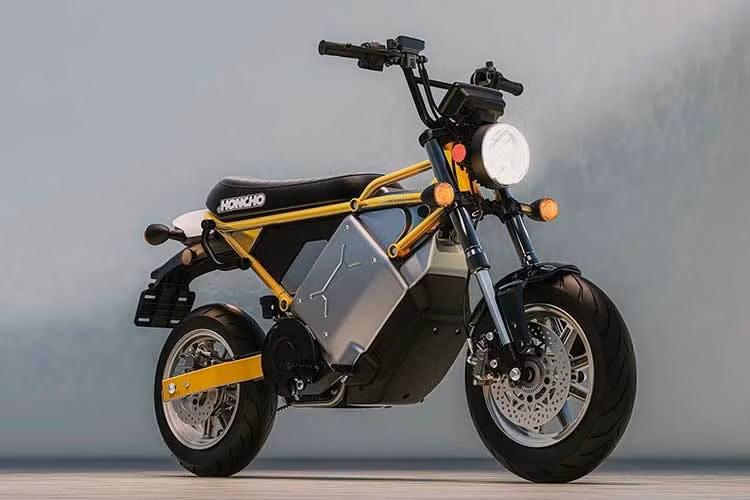 LiveWire là một thương hiệu con được Harley-Davidson thành lập từ năm 2021 chịu trách nhiệm về sản xuất xe máy điện. Bộ đôi S4 Honcho được phát triển thông qua sự hợp tác giữa LiveWire và hãng xe Đài Loan Kymco.