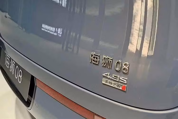 Phiên bản dùng pin 115,072 kWh và dẫn động cầu sau của BYD Sealion 08 có trọng lượng không tải 2.595 kg. Riêng bộ pin chiếm khoảng 31,2% tổng trọng lượng của xe. Phiên bản này còn được trang bị mô-tơ điện có công suất tối đa 370 kW (496 mã lực).
