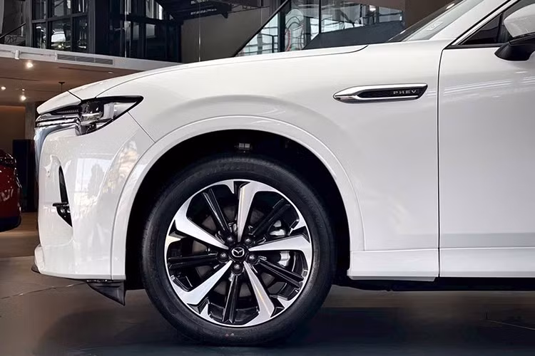 Là đối thủ cạnh tranh với Hyundai SantaFe và Kia Sorento tại Việt Nam, Mazda CX-60 gây ấn tượng với thiết kế nịnh mắt. Xe được trang bị lưới tản nhiệt cỡ lớn, đèn pha LED tích hợp dải đèn LED định vị ban ngày hình chữ "L" đặc trưng và tạo sự tương đồng với đèn hậu, nắp ca-pô kéo dài, bộ mâm 20 inch cùng 4 đầu ống xả phía sau.