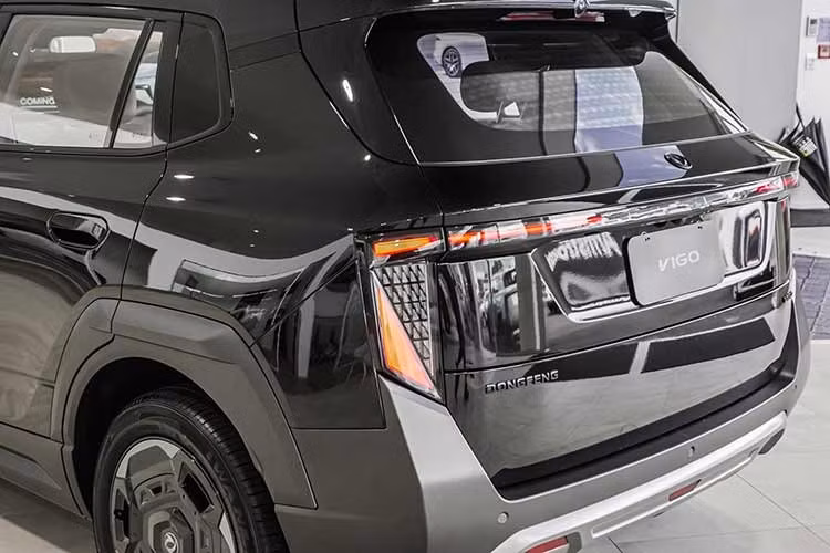 Tại thị trường Malaysia, Dongfeng Vigo chỉ có 1 phiên bản duy nhất, sử dụng mô-tơ điện đồng bộ nam châm vĩnh cửu đặt phía trước, cho công suất tối đa 161 mã lực và mô-men xoắn cực đại 230 Nm. Nhờ đó, xe có khả năng tăng tốc từ 0-100 km/h trong 9,5 giây.