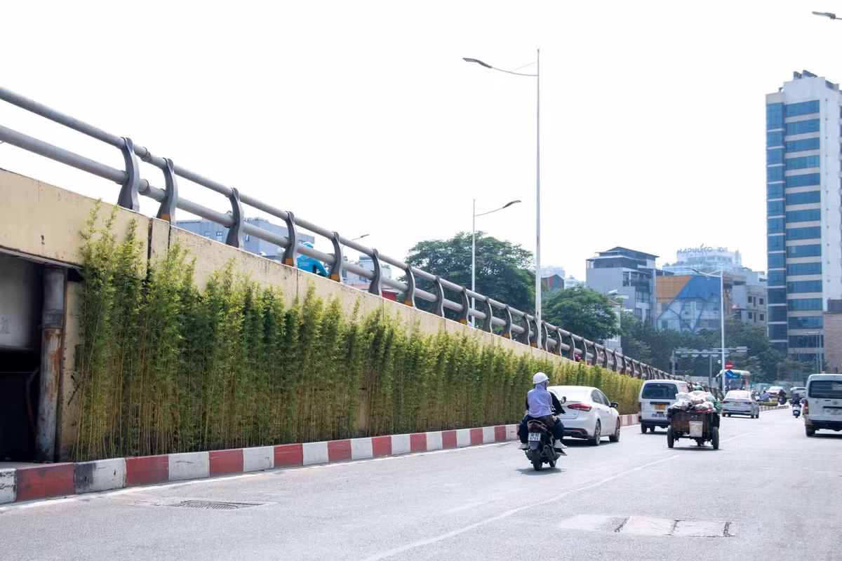 Không chỉ các trụ đường sắt đô thị, khu vực cầu vượt Lê Văn Lương - Láng Hạ cũng được cải tạo, bổ sung cây xanh. Những hàng trúc quân tử được trồng dọc hai bên mái taluy, thay thế phần cây trồng già cỗi trước đó. Màu xanh của cây tạo sự tương phản với kết cấu bê tông, góp phần cải thiện cảnh quan tại nút giao có mật độ phương tiện lớn.