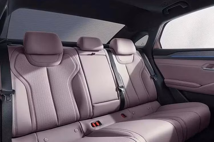 Tại thị trường Trung Quốc, BYD Qin Max có 2 tùy chọn động cơ. Đầu tiên là hệ truyền động hybrid sạc điện gồm động cơ xăng 1.5L, kết hợp với mô-tơ điện. Động cơ xăng có công suất tối đa 74 kW (khoảng 99 mã lực) trong khi con số tương ứng của mô-tơ điện là 175 kW (235 mã lực). Xe sử dụng bộ pin lithium-sắt-phosphate (LFP).