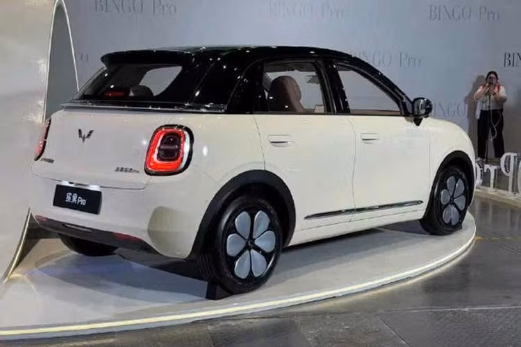 Trong bối cảnh doanh số tại quê nhà Trung Quốc sụt giảm, Wuling đang đẩy mạnh sự hiện diện tại các thị trường mới nổi như Đông Nam Á. Hiện tại, liên doanh SGMW đã có các cơ sở sản xuất tại Indonesia và Malaysia để tối ưu hóa thuế suất và chuỗi cung ứng trong khu vực ASEAN. Tại Việt Nam.