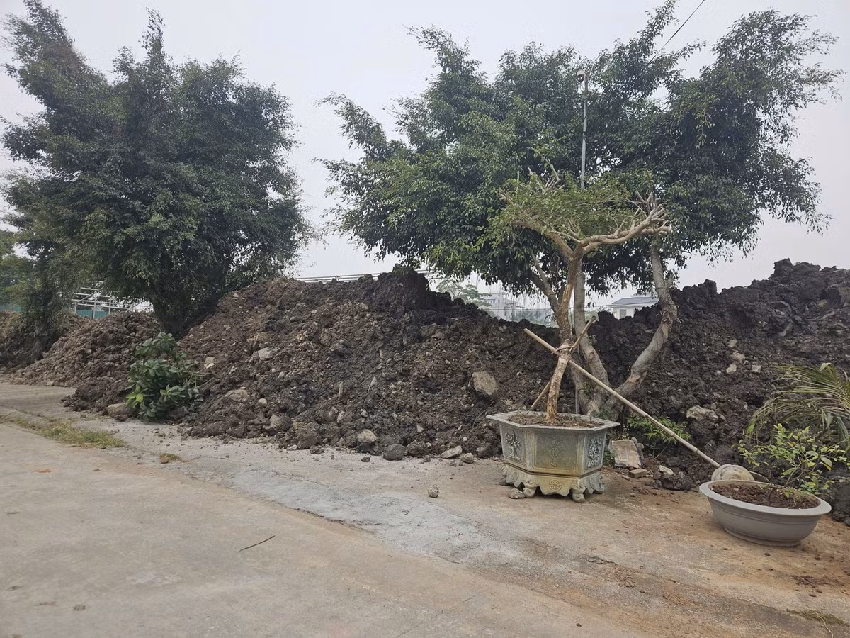 Rác thải được đổ tràn lên vỉa hè khiến người dân bức xúc. Ảnh: N.B.