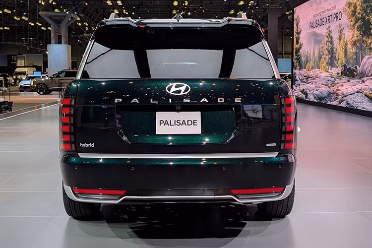 Hyundai cung cấp 5 tùy chọn màu sơn ngoại thất, bao gồm: Đen Abyss Black Pearl, Xám Ecotronic Gray Pearl, Bạc Shimmering Silver Metallic, Xanh Robust Emerald Pearl và Trắng Creamy White Pearl. Bên trong, khách hàng có thể chọn màu nội thất nâu hoặc đen.