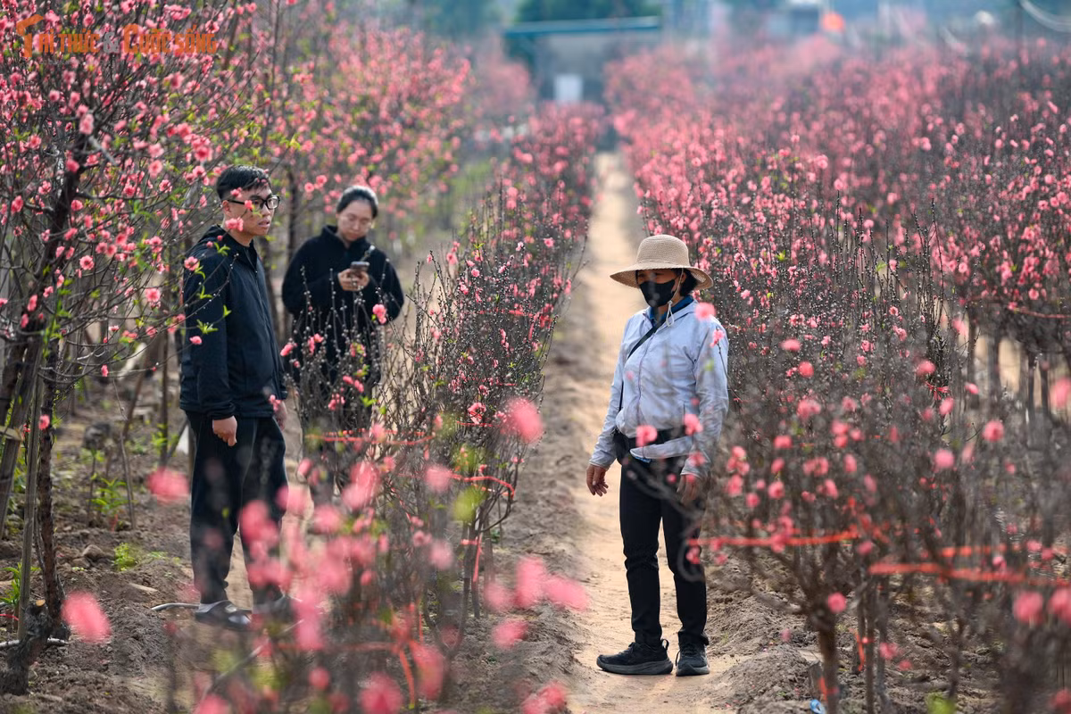 Giữa lòng Hà Nội nhộn nhịp, vẫn có những góc nhỏ để con người tìm về sự an yên, tạm gác lại lo toan thường nhật.