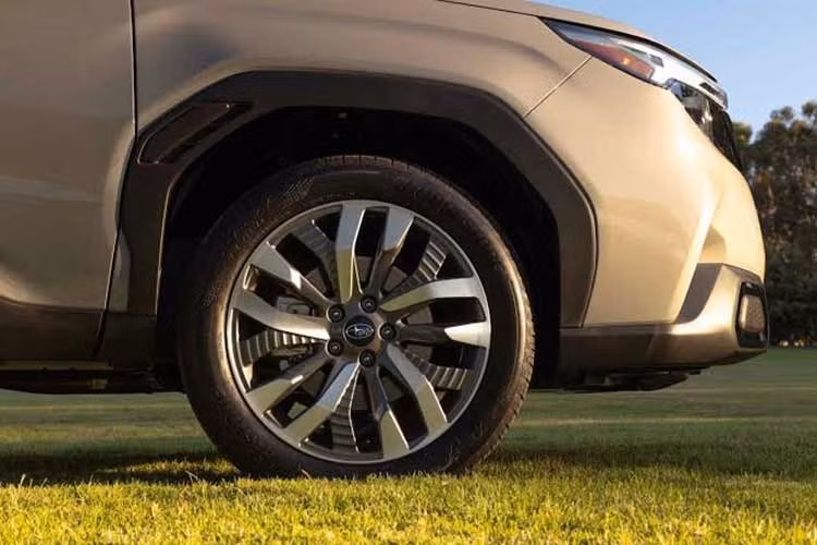 Tại các thị trường quốc tế, Subaru Forester hybrid được trang bị động cơ boxer 2.5L 4 xi-lanh kết hợp mô-tơ điện và bộ pin lithium-ion dung lượng 1,1 kWh. Hệ truyền động này cho công suất kết hợp 194 mã lực, đi cùng hộp số eCVT Lineartronic và hệ dẫn động bốn bánh toàn thời gian đối xứng Symmetrical AWD.