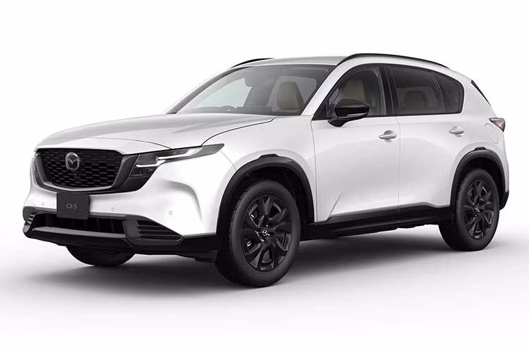 Với khởi đầu đầy ấn tượng, Mazda CX-5 thế hệ mới đang cho thấy tiềm năng tiếp tục là “gà đẻ trứng vàng” của Mazda, đồng thời gia tăng sức ép lên các đối thủ trong phân khúc như Toyota RAV4, Honda CR-V và Subaru Forester. Tại Việt Nam, CX-5 thế hệ mới đang trưng bày tại đại lý Mazda Flagship đầu tiên ở Tp.HCM. Theo một số nguồn tin, xe sẽ chính thức ra mắt cuối năm nay.